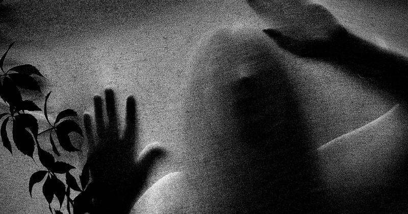 Pexels/Михаил Шнейдер